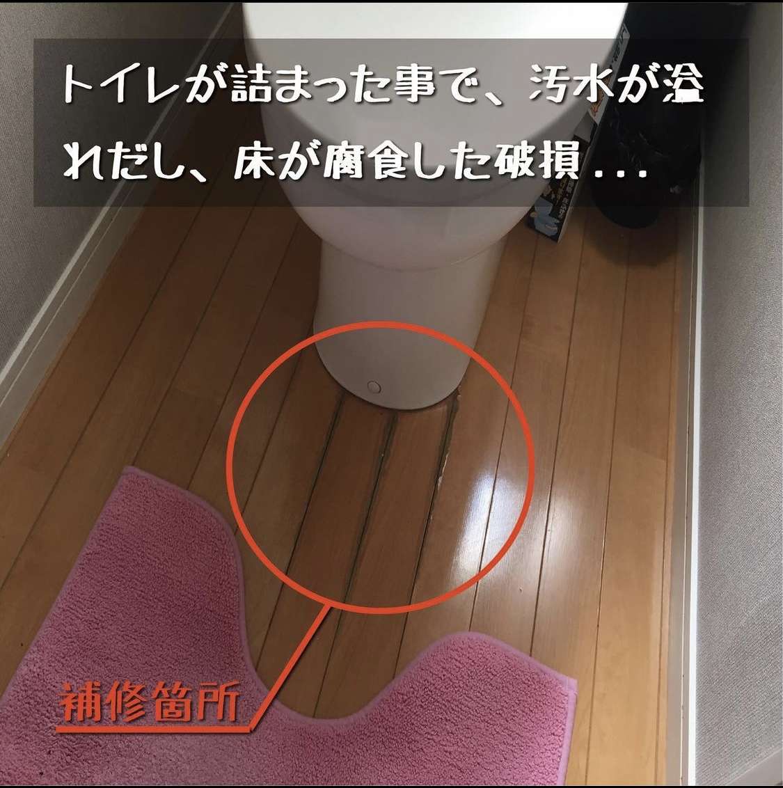 【京都府】トイレ詰まりからの水漏れ被害でお困りの方は住まいるドクターへ